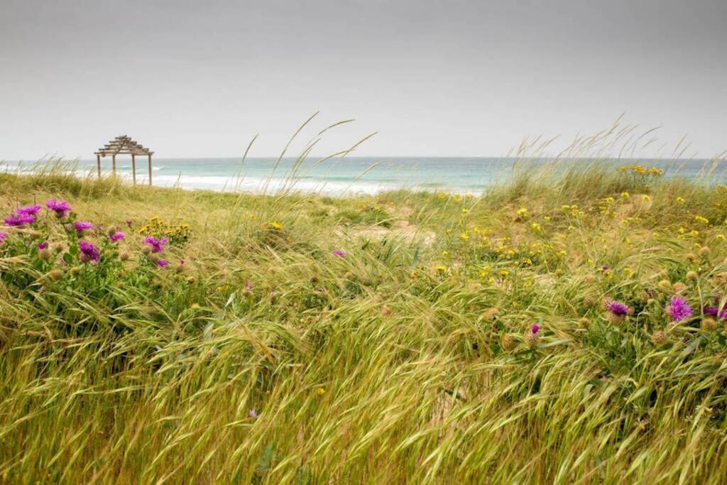 Cabana La Palmerita En Playa El Palmar 埃尔帕尔马 外观 照片