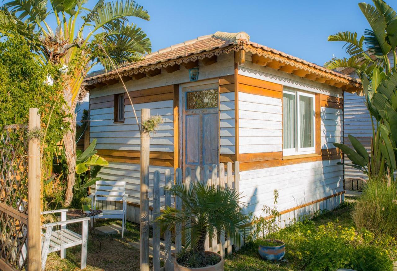 Cabana La Palmerita En Playa El Palmar 埃尔帕尔马 外观 照片